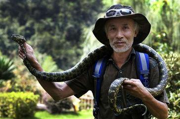 全面解析：那些你需要知道的毒蛇品种知识