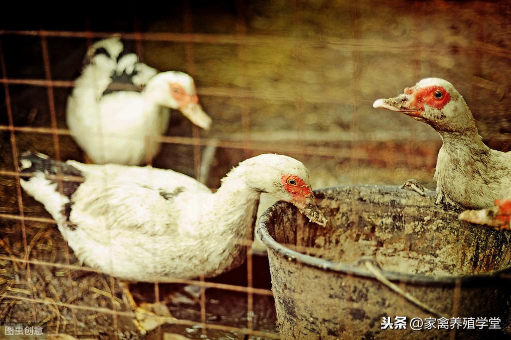 淘宝购物群真的能省钱吗？