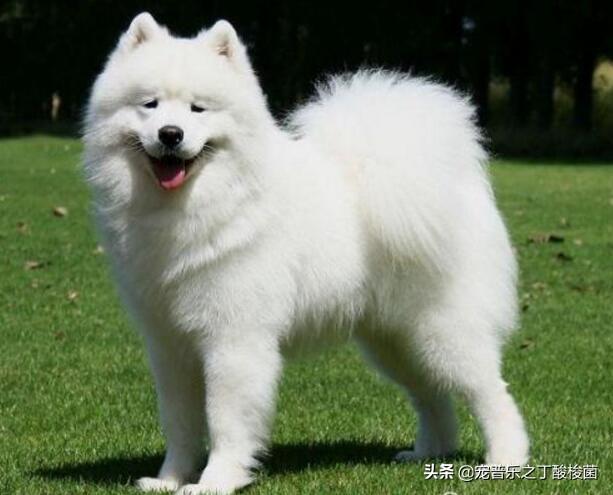 2024年蒋姓宝宝名字大全：独特寓意与美好祝愿