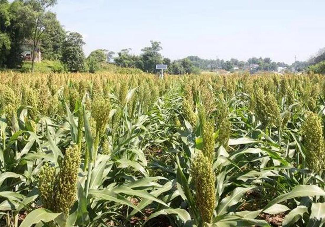 3月4日藏着多少你不知道的冷知识？