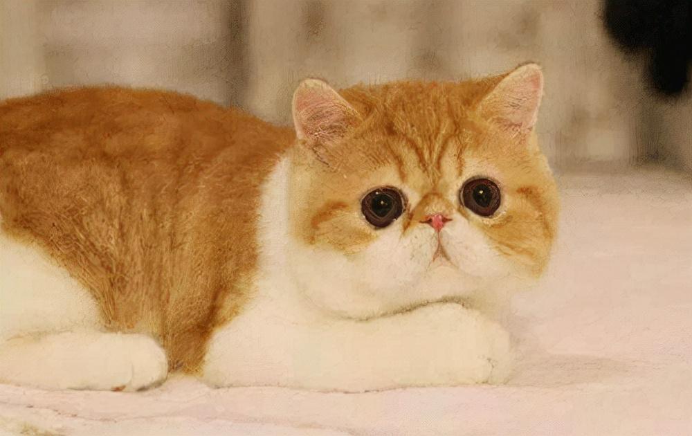 推荐给甄姓女孩取名可用的名字大全