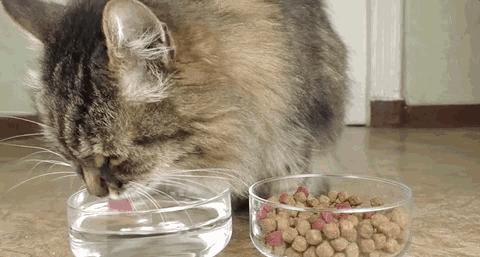 恩炀到底值不值得抽？