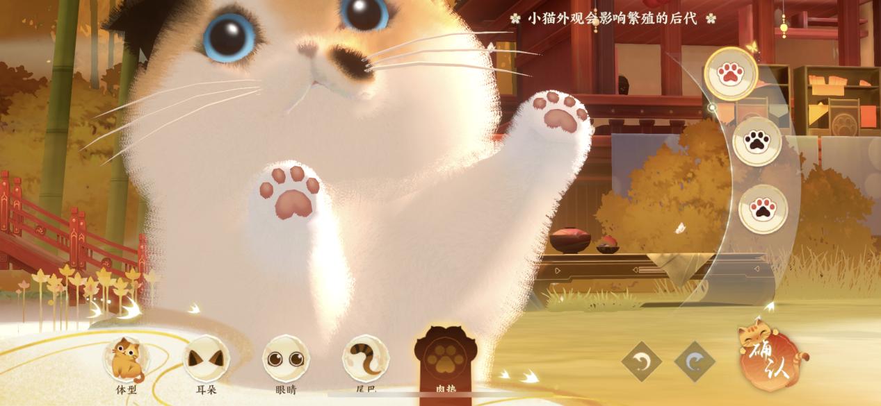 天猫官方活动及商城收费标准详解，了解天猫收费政策