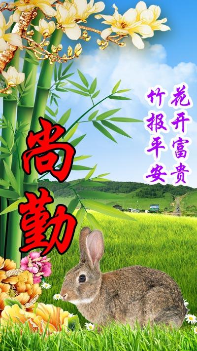 1999年出生的人到底属什么生肖？