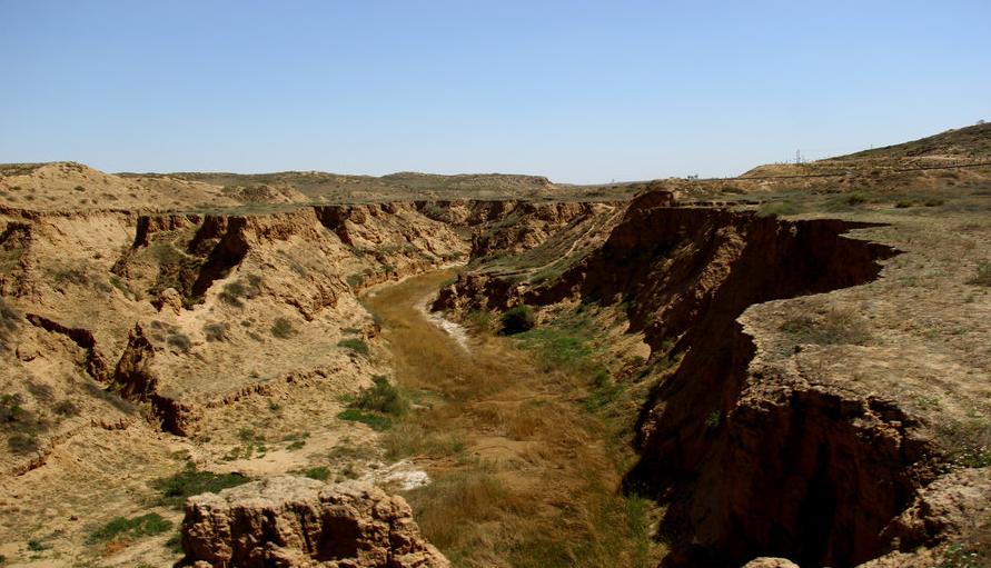 新手抽到昱为什么总在送人头？