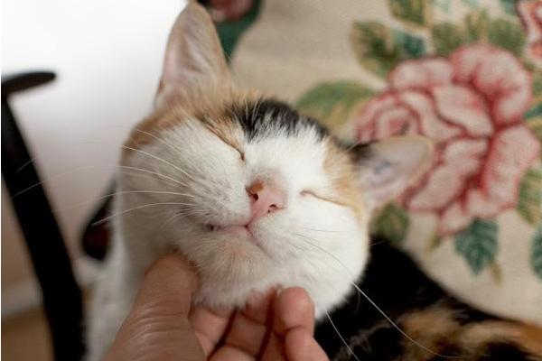 为什么老黄历能决定你的人生大事？