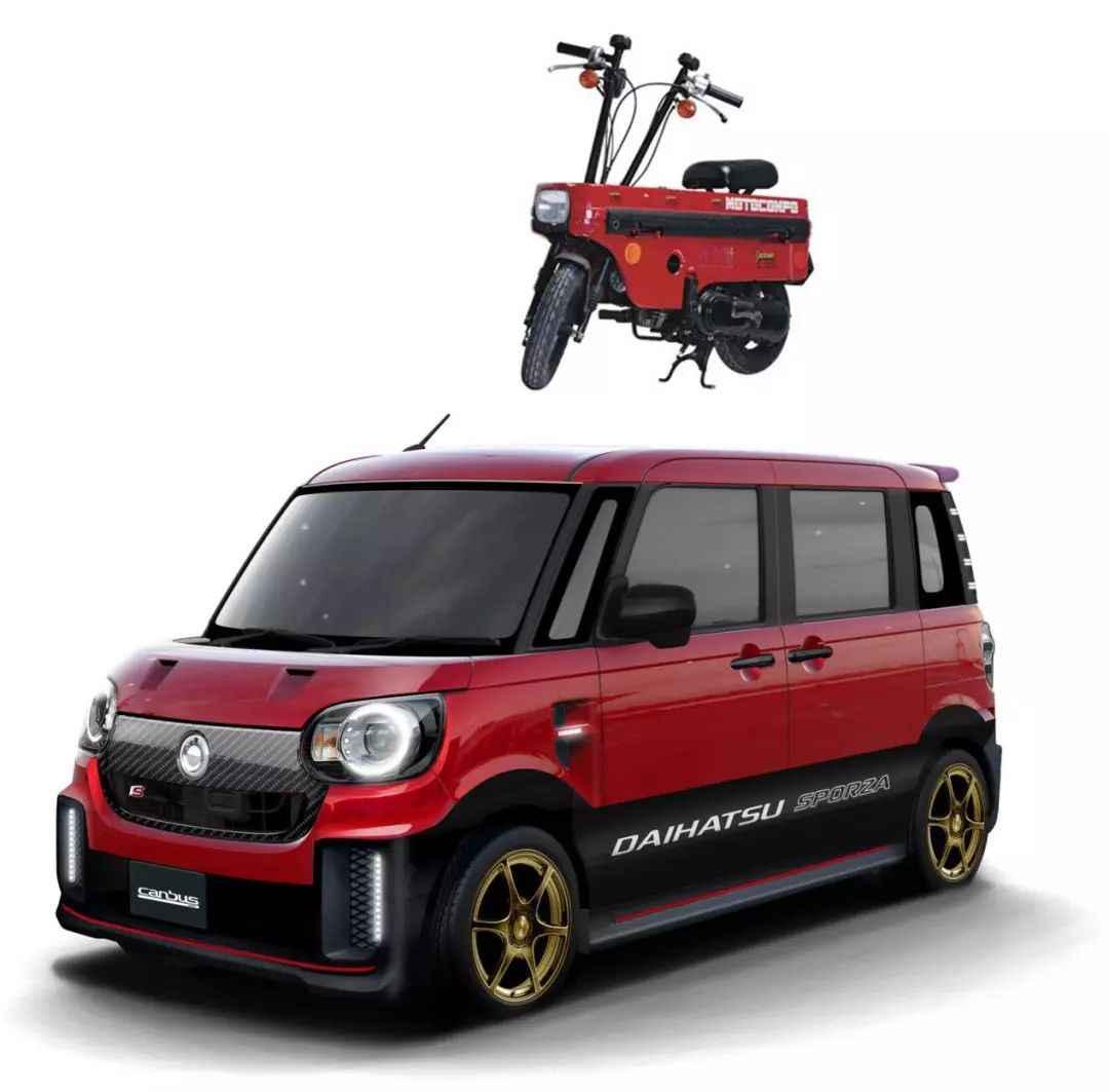 袖珍猴子真的能当宠物养吗？