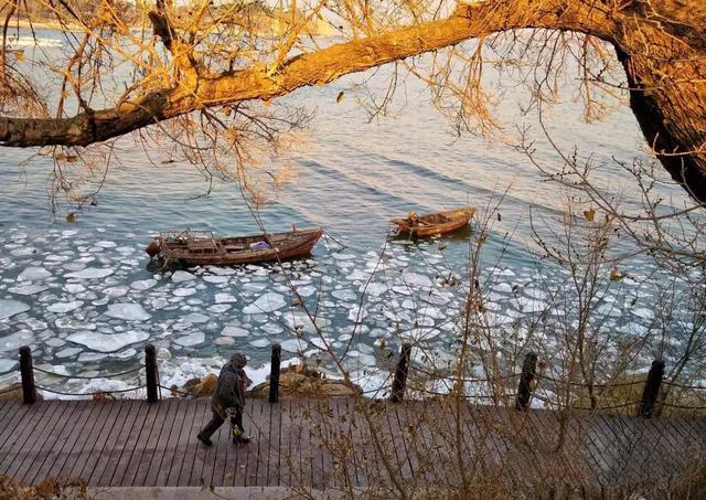 过年寄快递会不会被快递公司放鸽子？