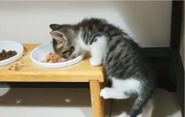 2021年哪些生肖要躲着太岁爷走？