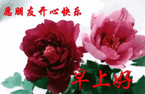 兔年真的是癸卯年吗？