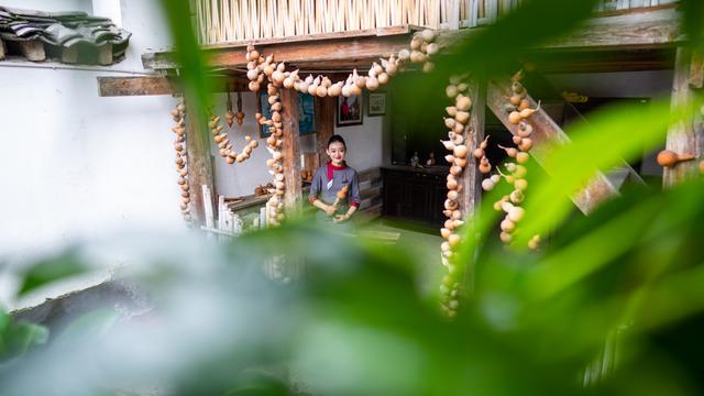 芦苇到底能用来做什么？