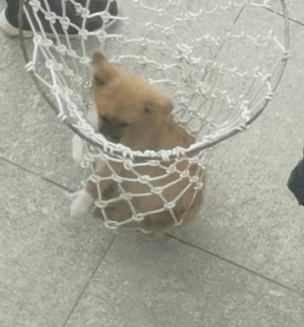 大学蹭课真的不会被抓吗？