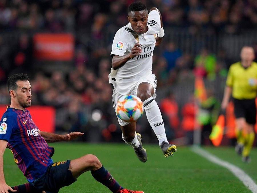 介助犬的遗言到底藏着什么秘密？