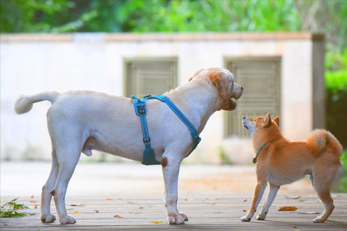 4月23日到底藏着多少你不知道的玩法？