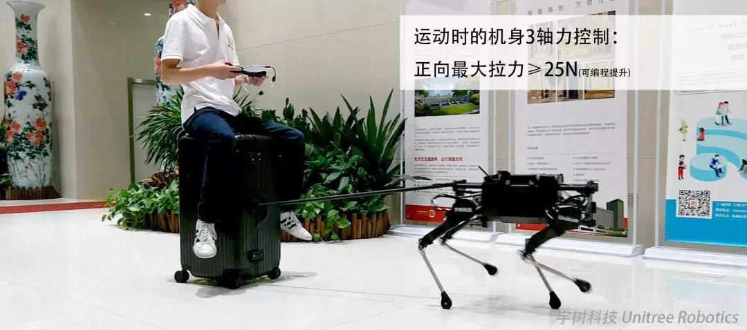 波士顿犬真的适合新手养吗？