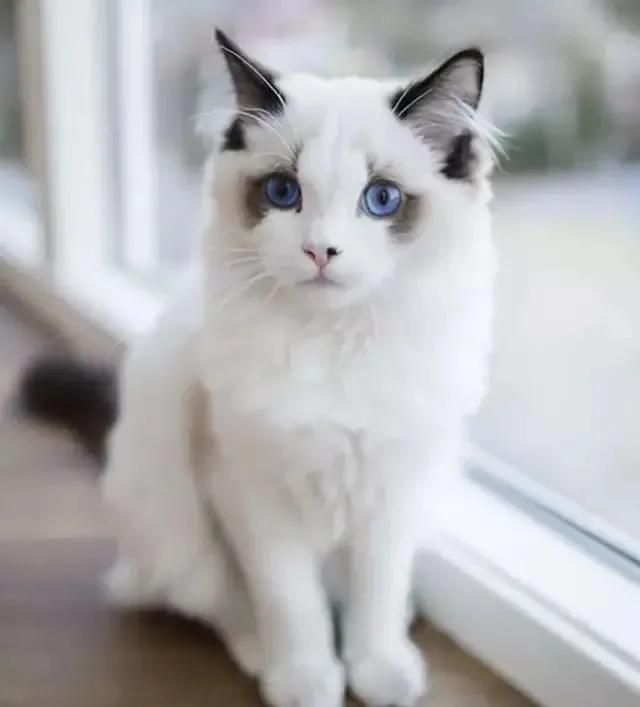 东莞服装批发到底怎么玩才不踩坑？