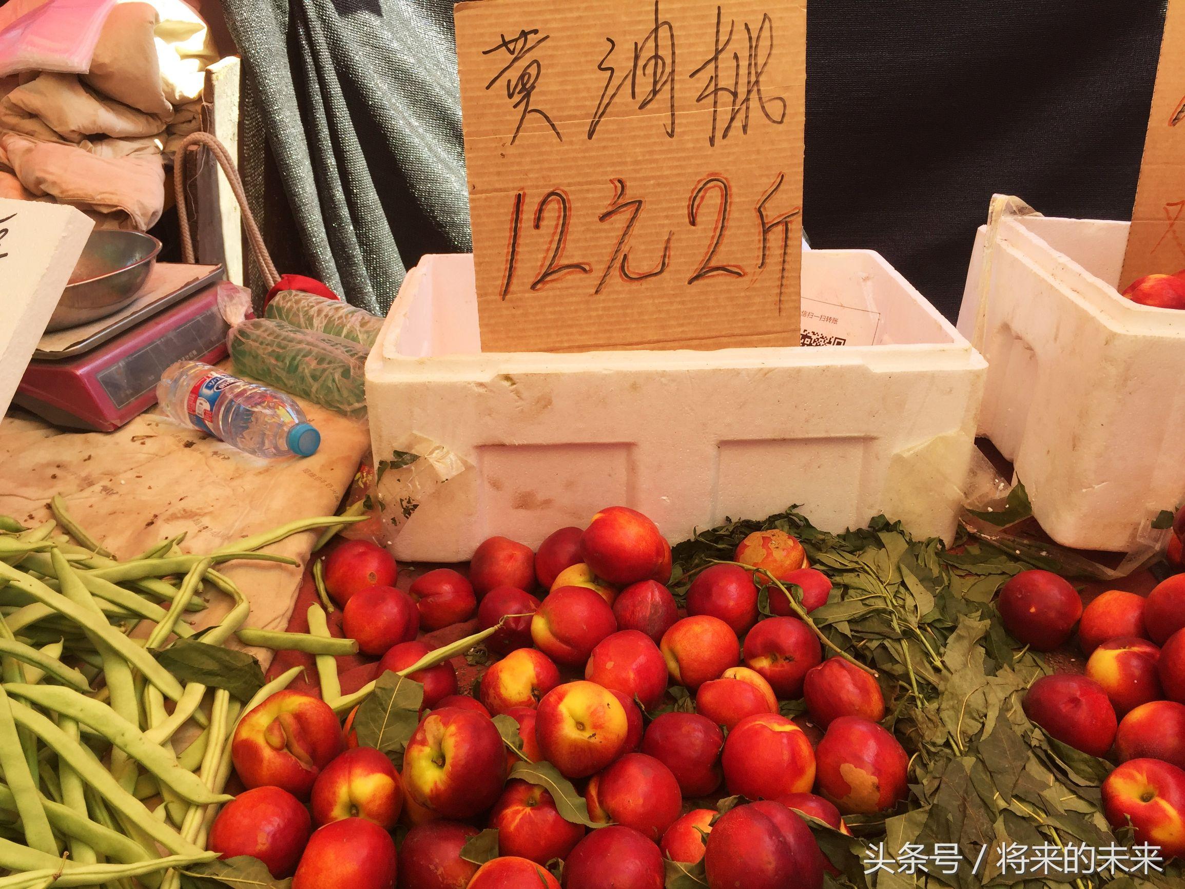 第一次用淘宝怎么买最划算？