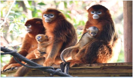 双12直播间抢货为啥总慢人一步？