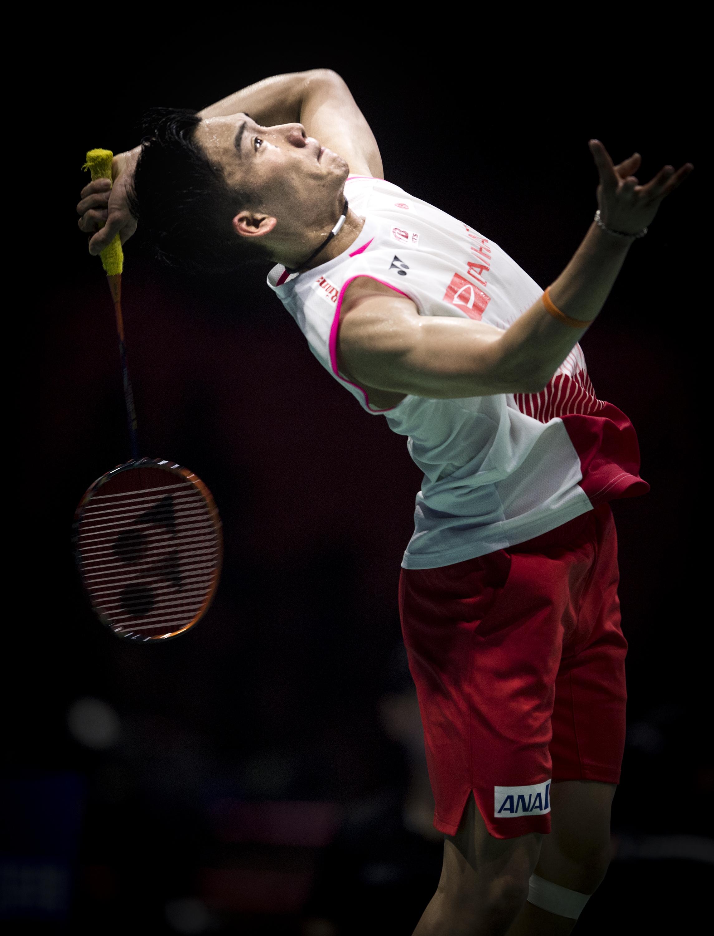 养鱼单数好还是双数好？风水养鱼数量指南，教你如何选择