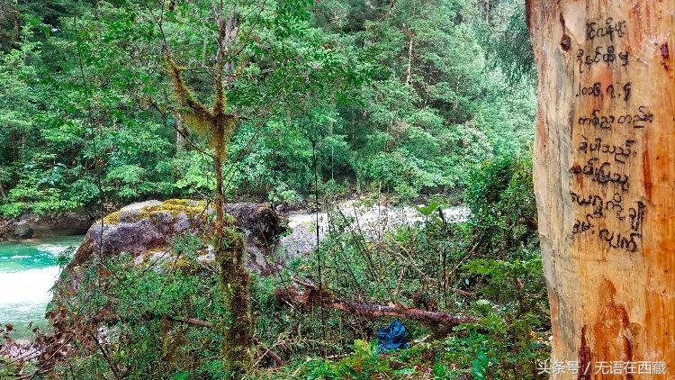 梦见抓鱼是发财的预兆吗？