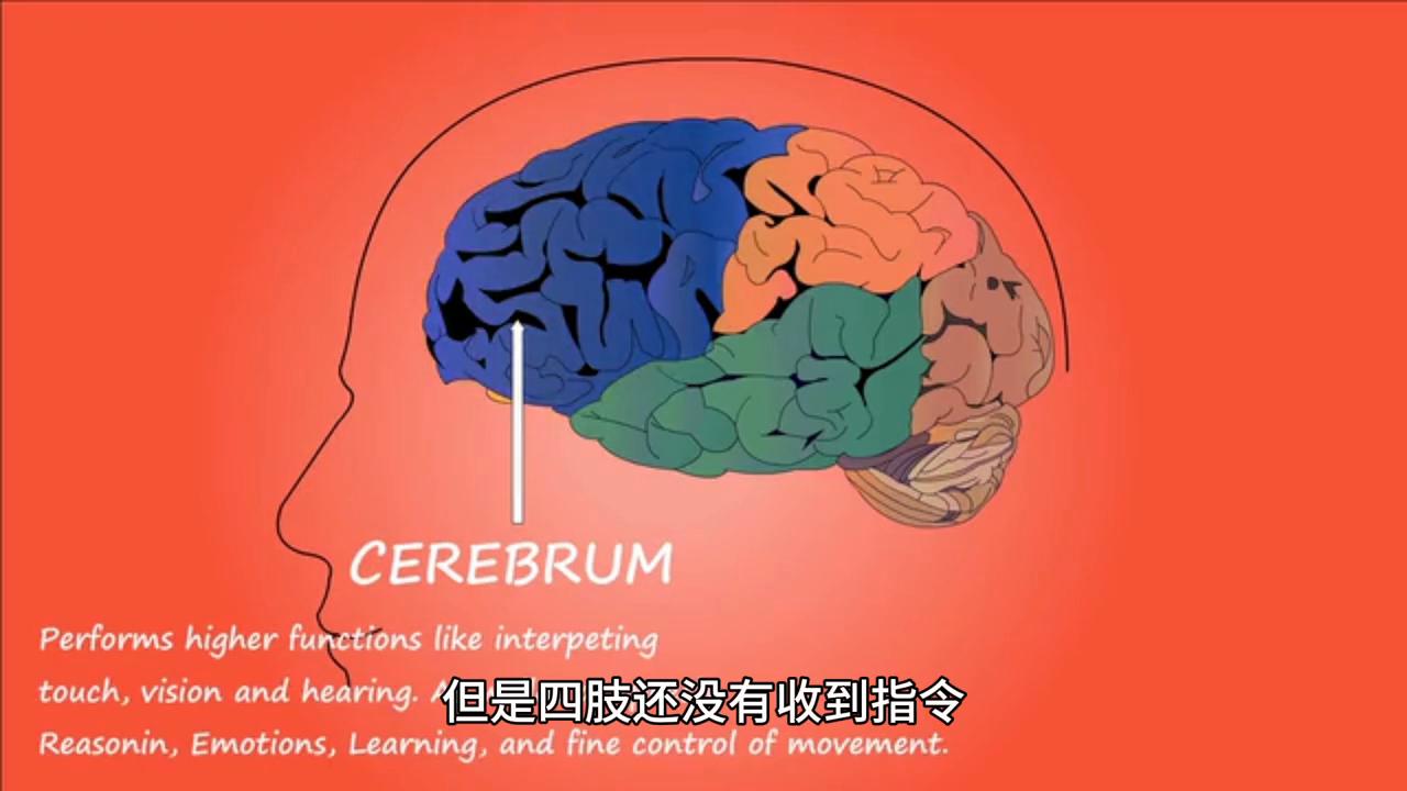 你的梦境真的在偷偷给你发信号吗？