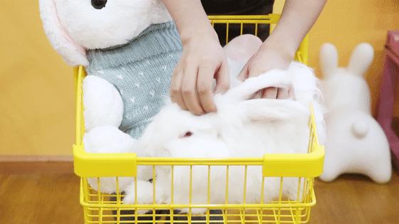 月薪5000怎么穿出明星同款质感？林弯弯淘宝店闭眼入攻略