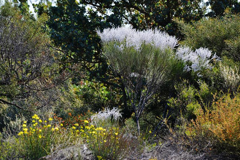1980年10月13日出生的人五行缺什么？详细解析与命理分析