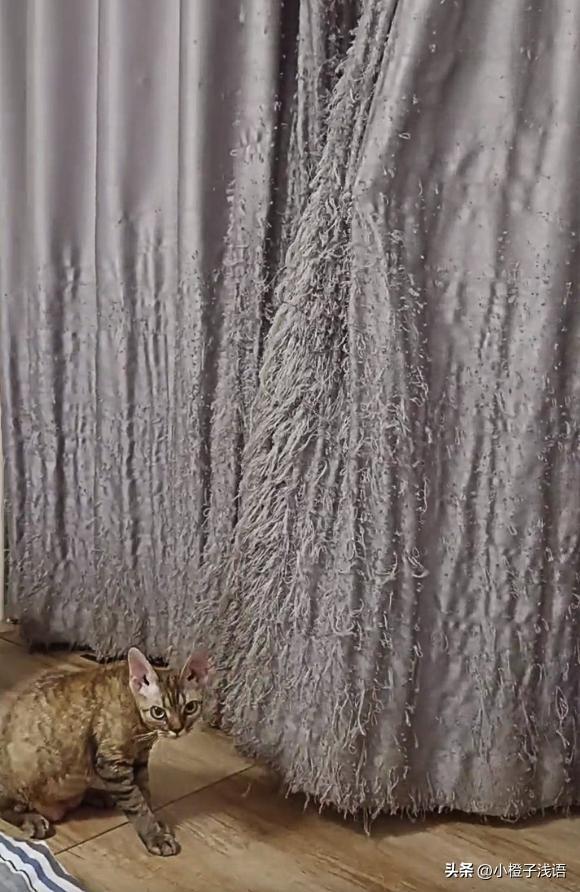 淘宝店铺主页装修真的能提升销量吗？