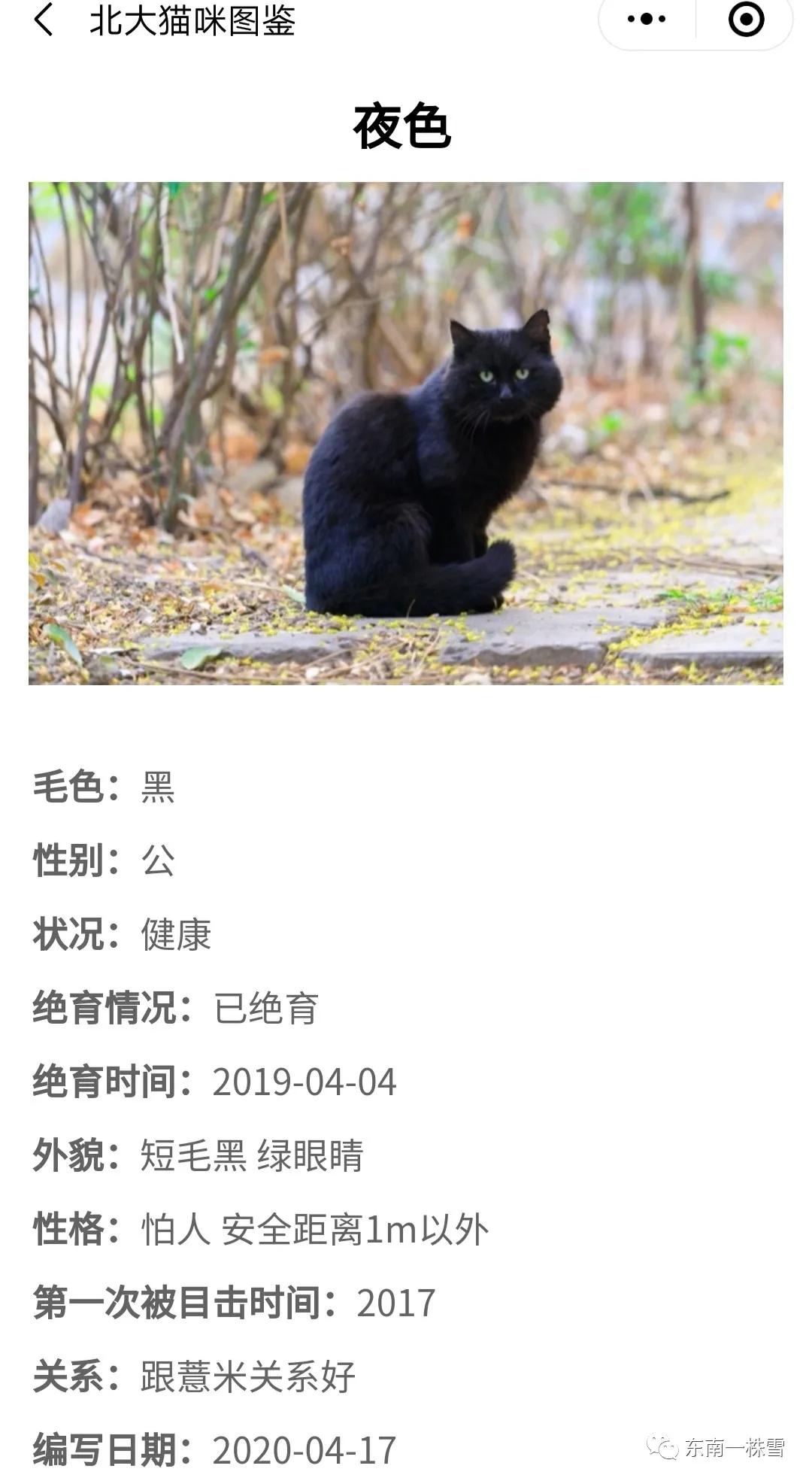 北大猫真的能听懂高等数学吗? 北大猫真的能听懂高等数学吗?