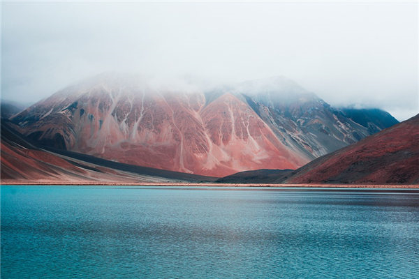 号脉左手和右手的区别_号脉_12月9号