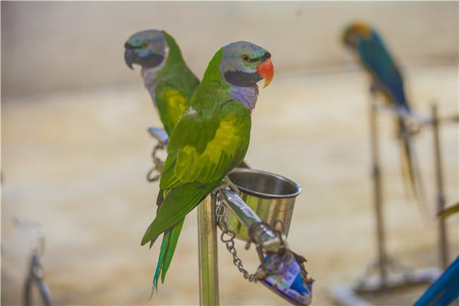 开天猫店铺一年需要多少钱？详细成本分析及预算指南