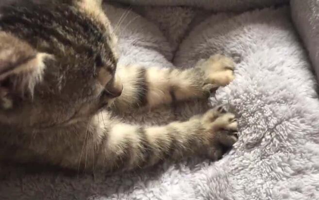 珞字起名搭配什么字好 这里有超全推荐