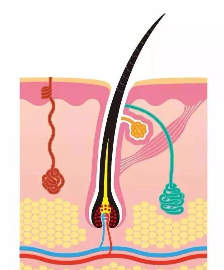 淘宝U站9块邮真的能薅到羊毛吗？