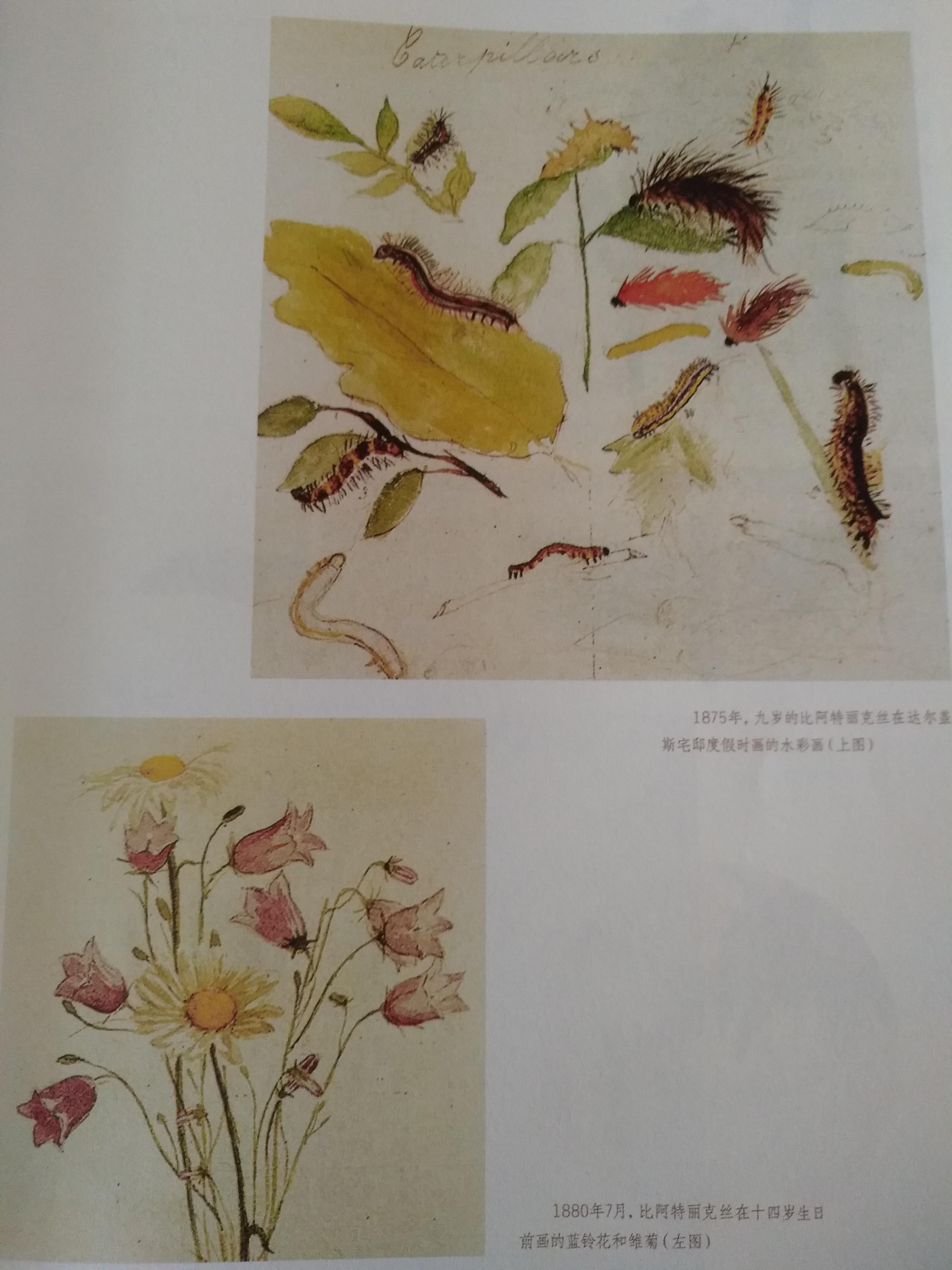 在家养蜥蜴真的比养猫狗容易吗？