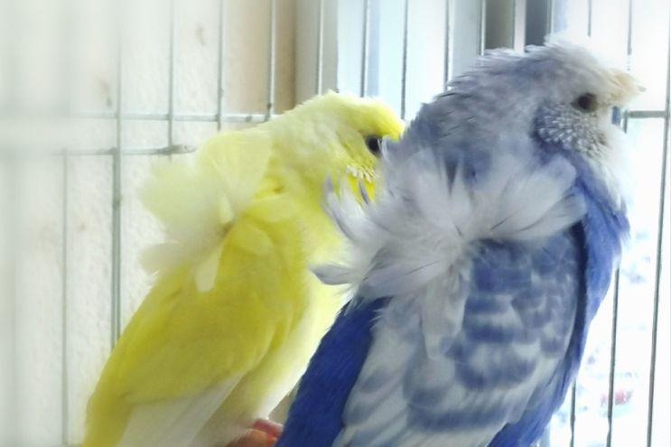 在斐贝网真的能零成本创业吗？