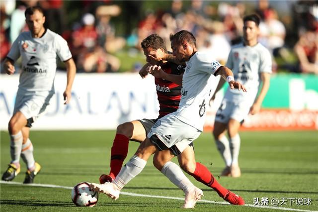 母狗生殖器护理做不对会让毛孩遭多大罪？