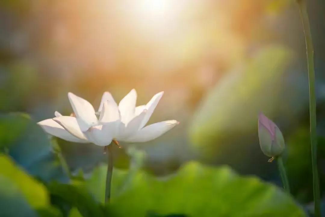 为什么总有人能提前知道自己的运势？