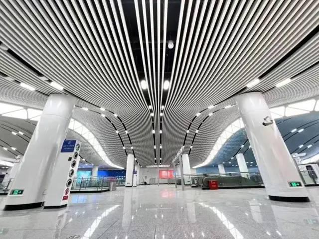 2月28日怎么玩才能赚回票价？