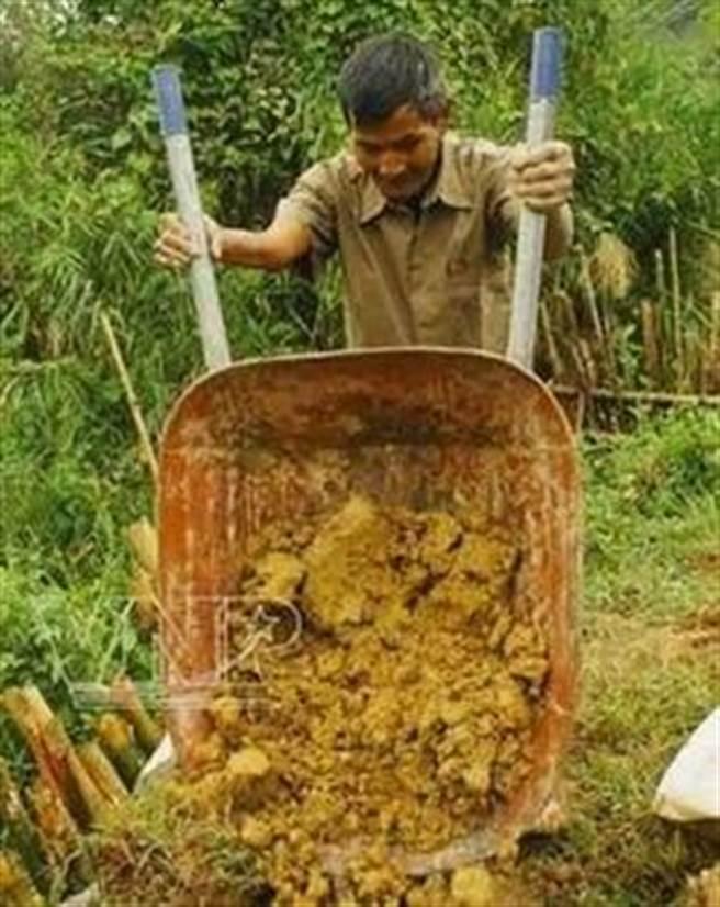 你家农场真的防得住小偷吗？