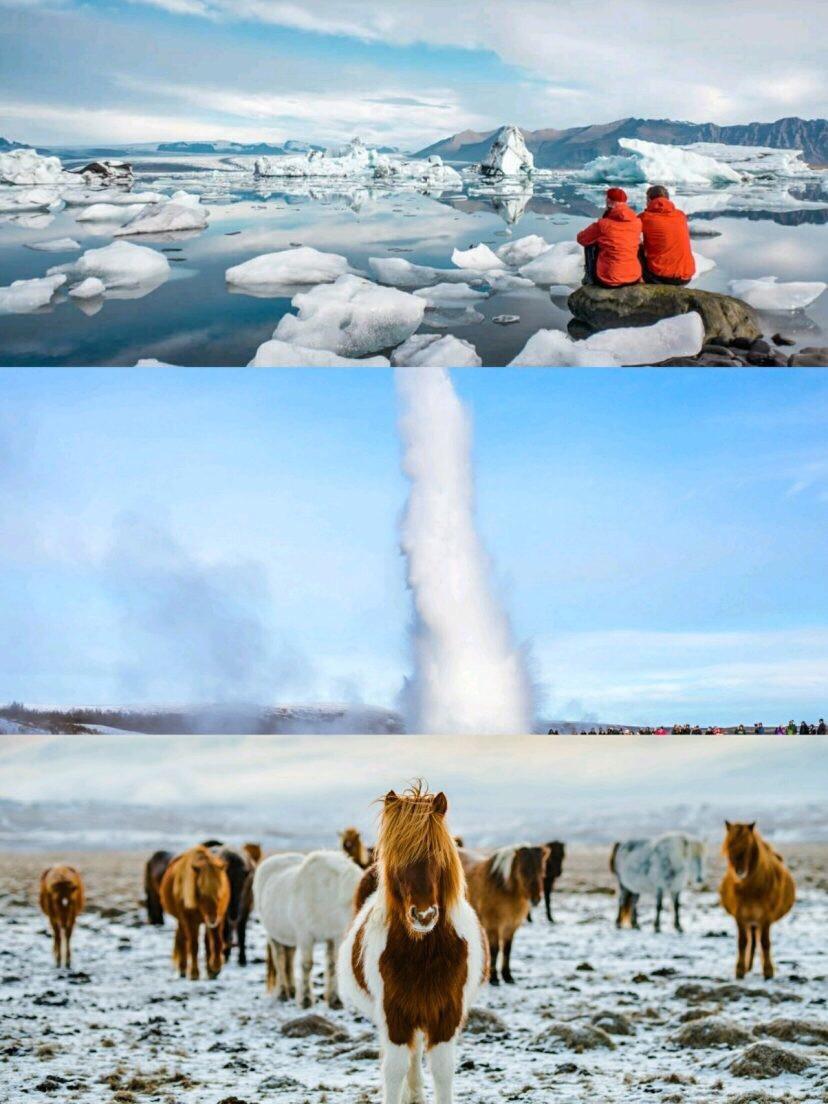 黄金角蛙价格为啥差这么多？