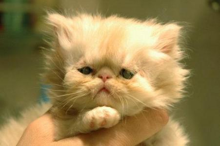 网上买彩票真的靠谱吗？新手必看避坑指南