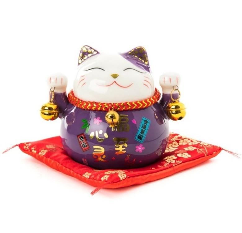 招财猫鱼饲养指南：温度不低于15℃的养护要点