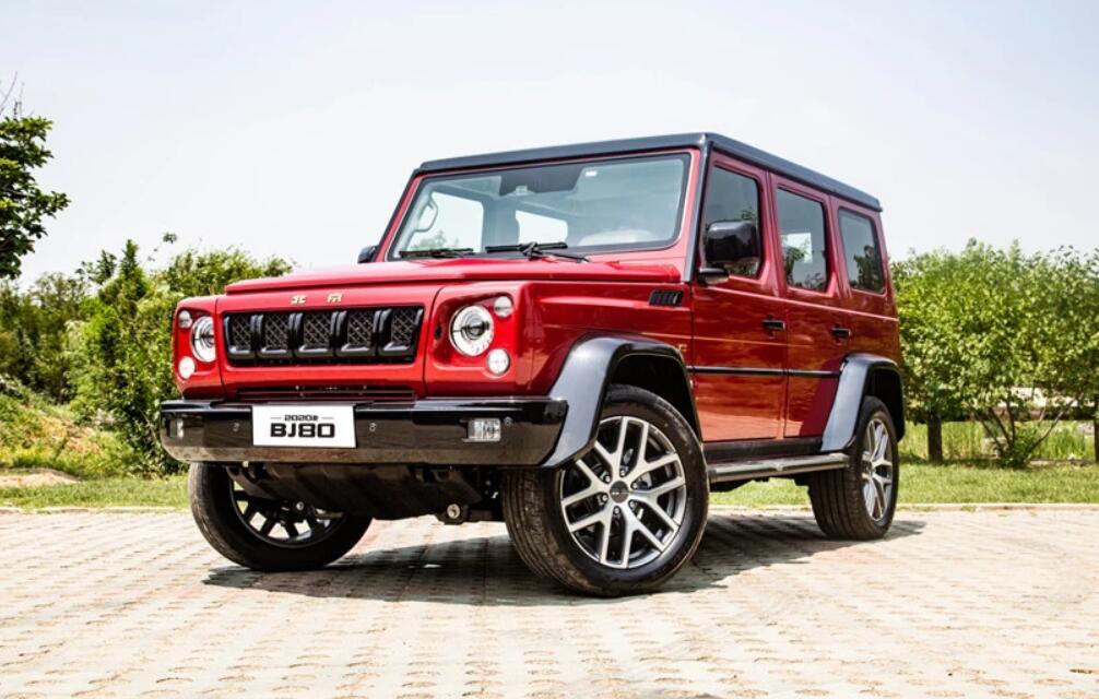 英国斗牛犬好养吗？波奇网为你答疑解惑