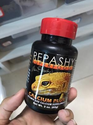 为什么别人的豹纹守宫比你的更抢眼？