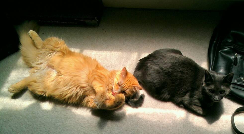 淘宝开店货源真的这么难搞吗？