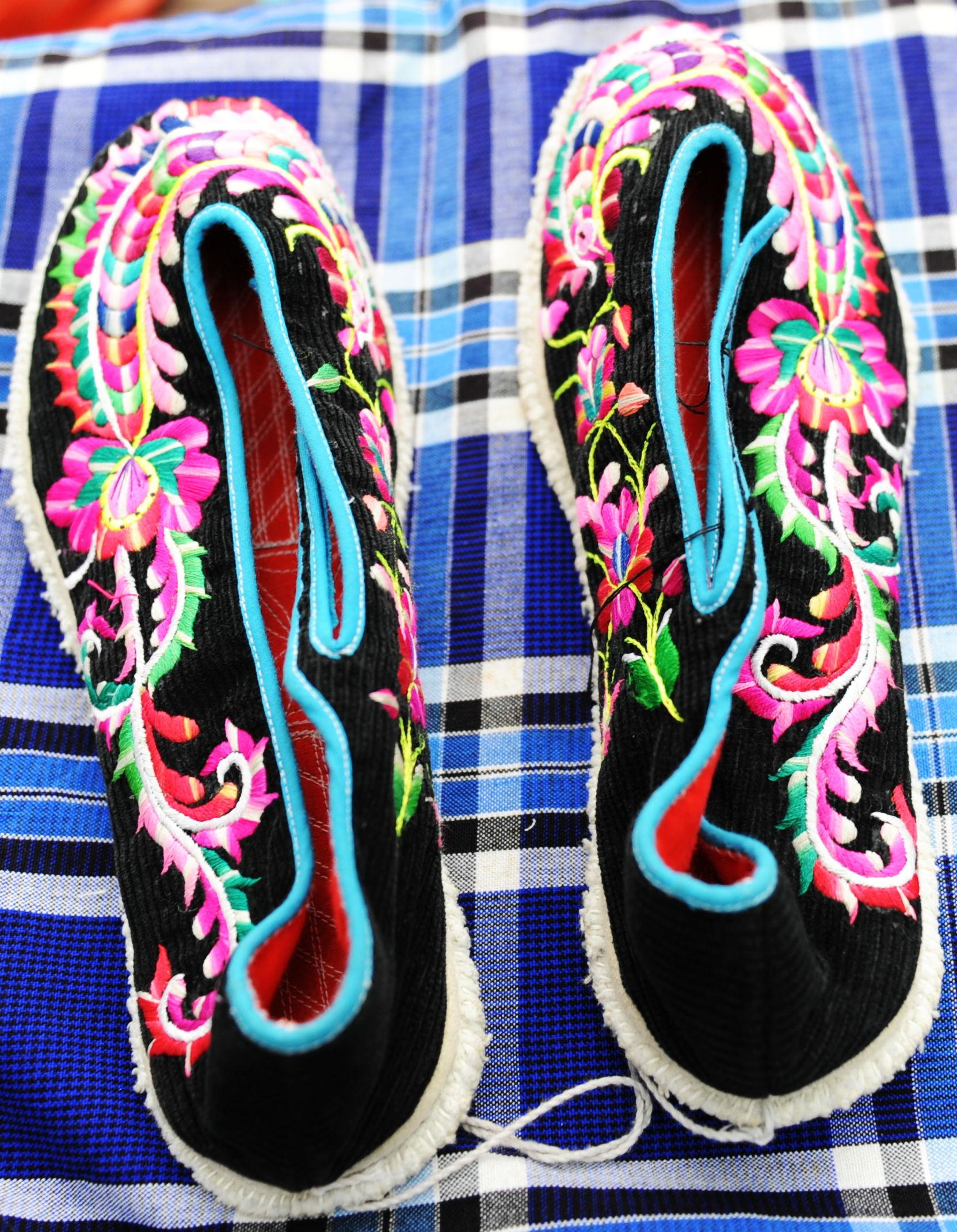 蝴蝶犬串串真的适合新手养吗？