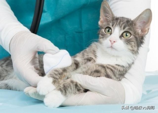 山字配什么字取名最好？精选搭配技巧与寓意解析