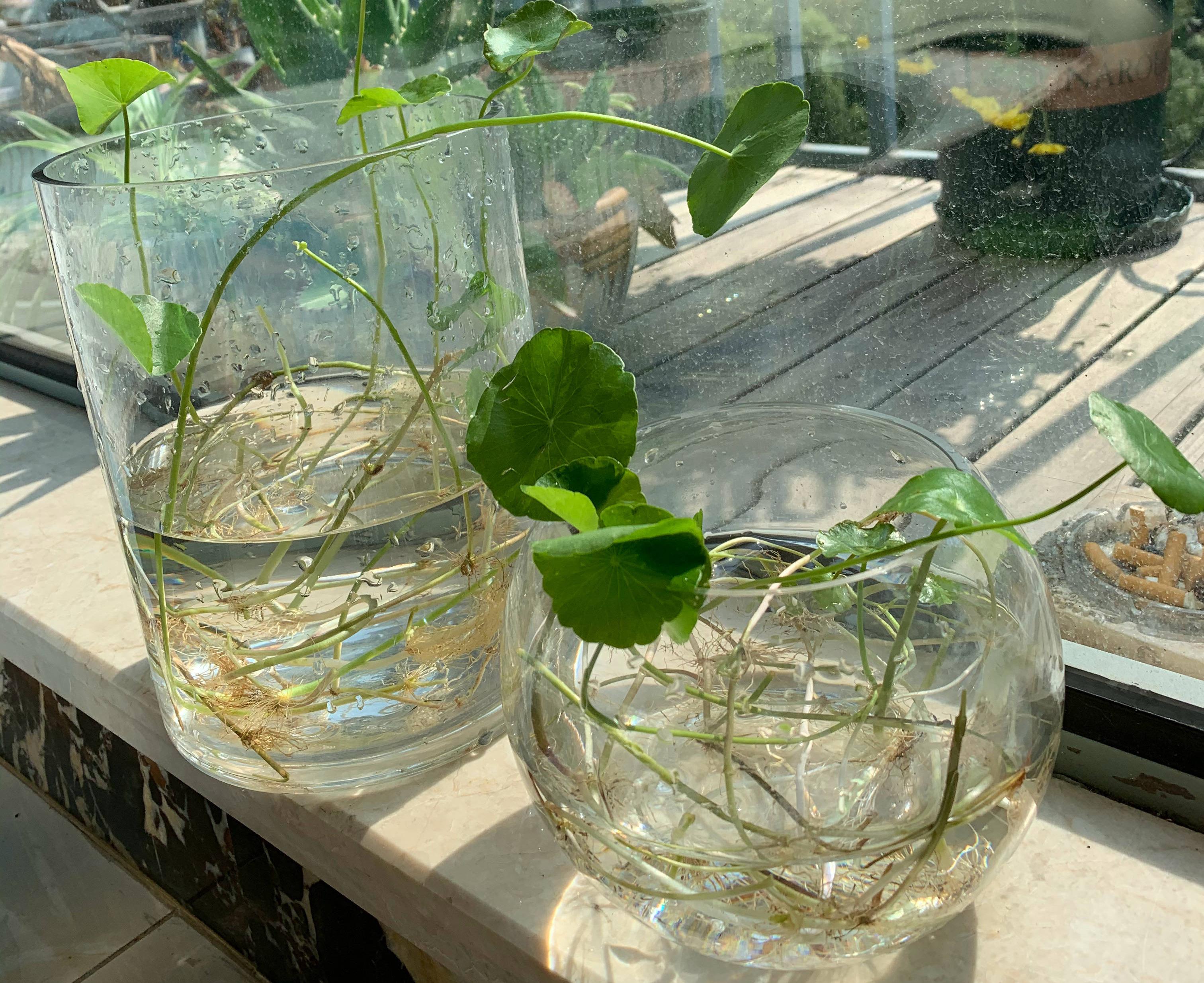 鱼缸摆错位置会破坏家中财运吗？