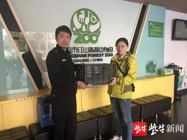 蓝黄金刚鹦鹉真的适合新手饲养吗？