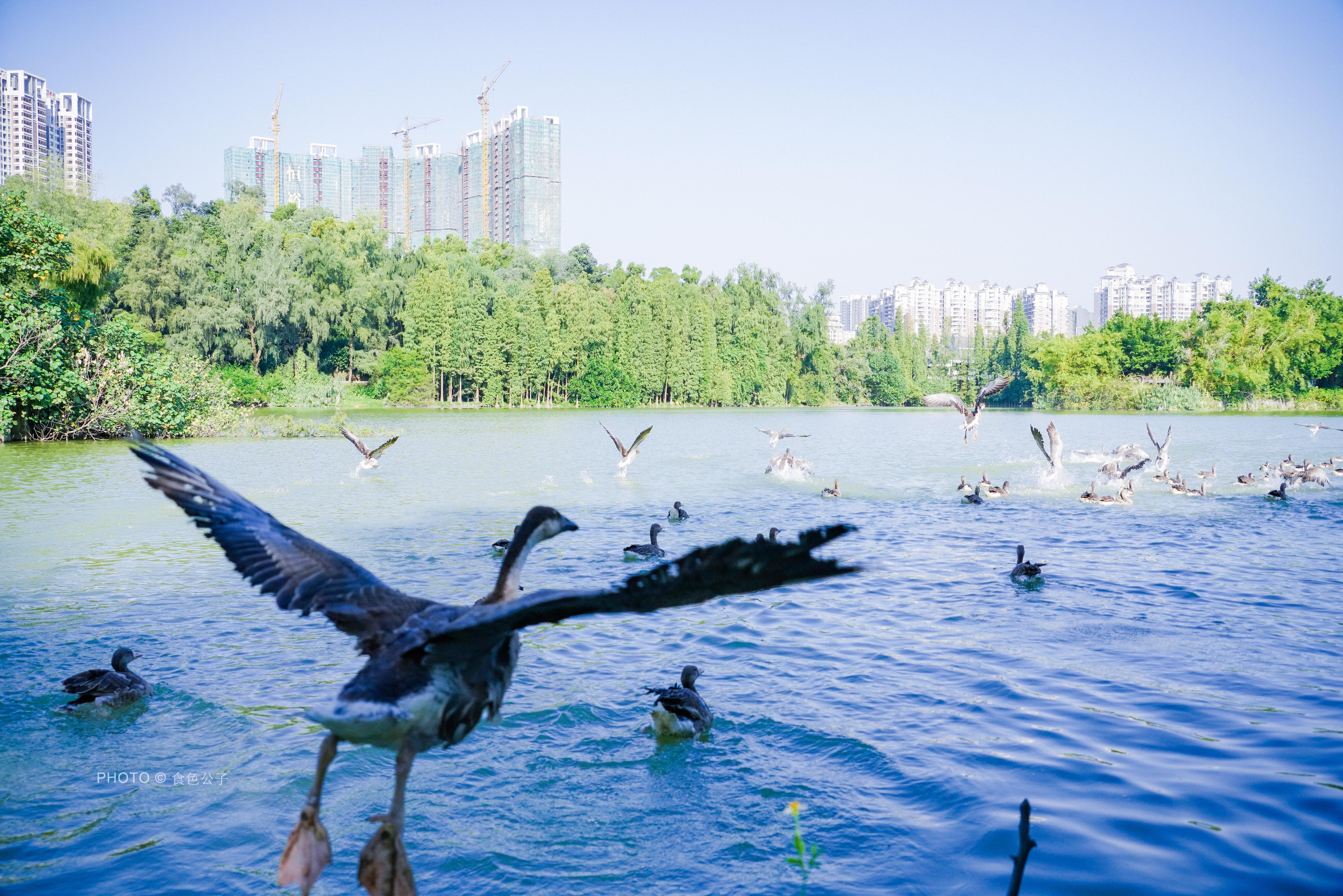 着急复工莫若修炼内功，17场亚马逊直播助您进阶跨境电商高手